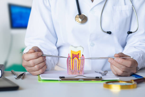 Best Emergency Dental Care for Broken or Chipped Teeth in Tutwiler, MS